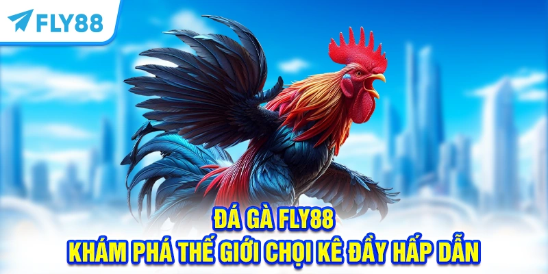 Đá Gà FLY88 Trực Tuyến – Khám Phá Thế Giới Chọi Kê Đầy Hấp Dẫn