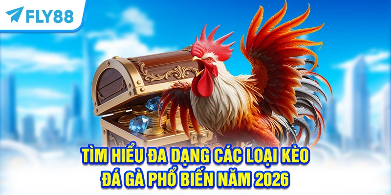 Tìm Hiểu Đa Dạng Các Loại Kèo Đá Gà Phổ Biến Năm 2026